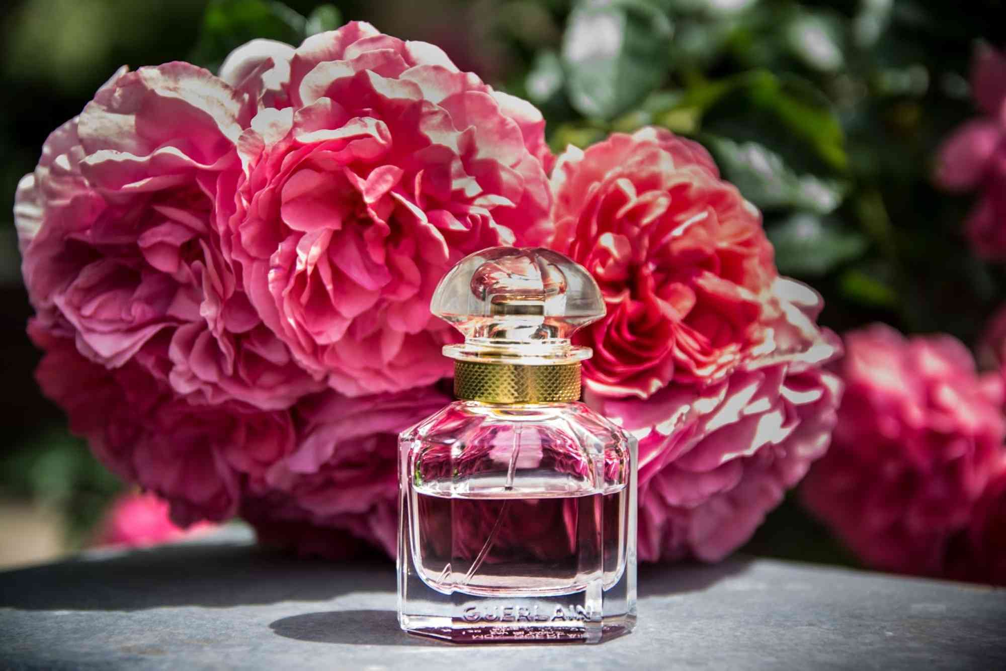 Fragrance Notes Explained – How to Select the Best Perfume.