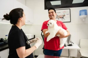 Best Pet Insurance Providers in the UAE: Policy Coverage & Claim Reviews