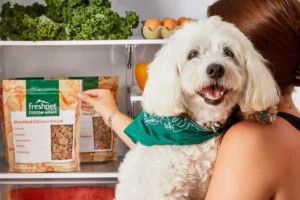Best Pet Food Delivery Services and Online Stores in UAE (Chewy Equivalents)
