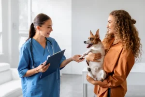 Pet Care in UAE Summer: 7 Rules to Prevent Dangerous Heatstroke in Dogs