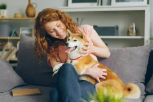 Pet Passport UAE: How to Get an Official Vaccination Card in Dubai